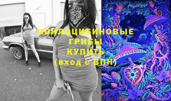 прущий лед Тында
