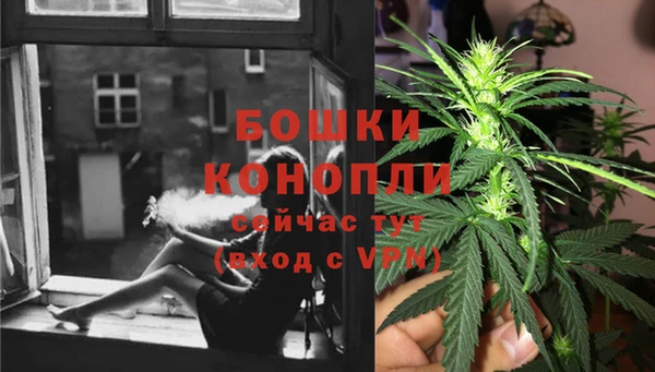 бошки Ельня