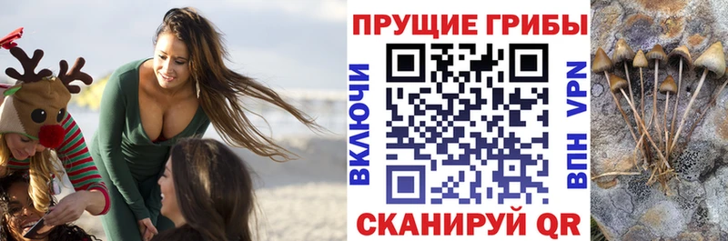 Галлюциногенные грибы MAGIC MUSHROOMS  мориарти наркотические препараты  Котово 